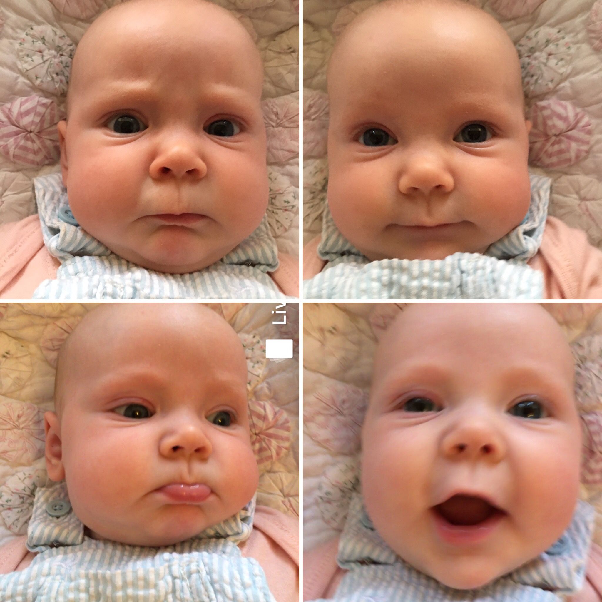 Lots of Baby Distractions