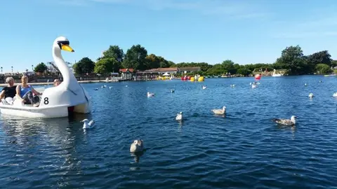 Day Out at Swan Lake – Southport