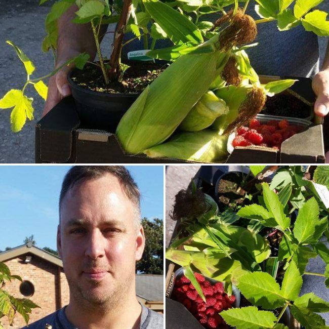 Buying Fresh Fruit and Vegetables in Warrington