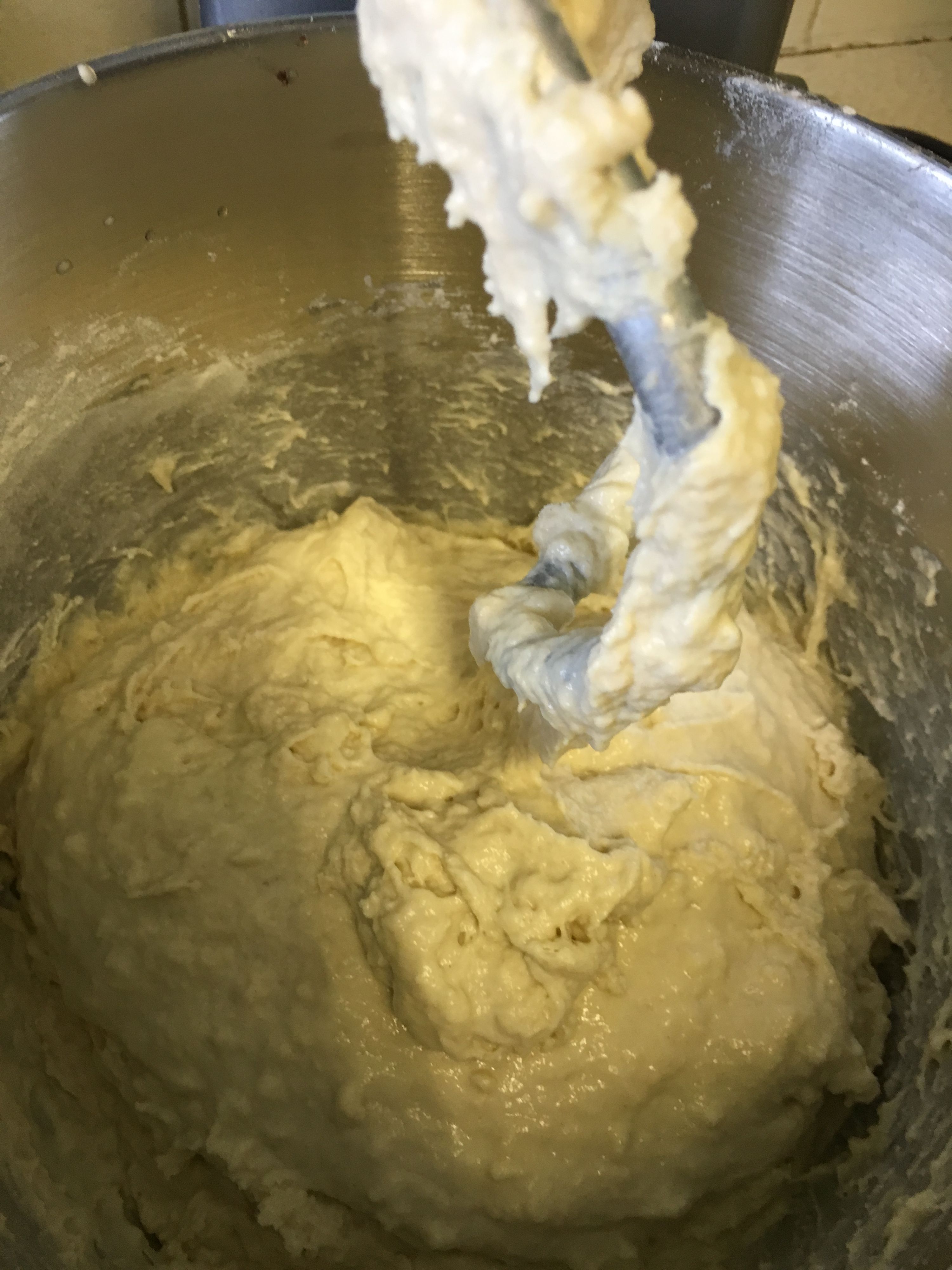 Pizza Dough Mixture