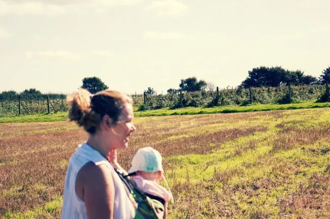 Fruits of Labour – Family Fun Day Fruit Picking