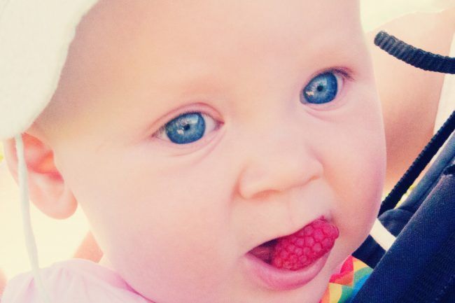 Baby Loves Fruit - Baby Led Weaning