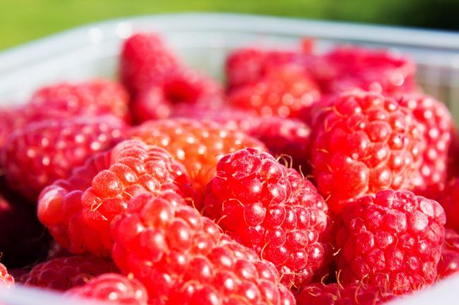 Amazing Raspberries