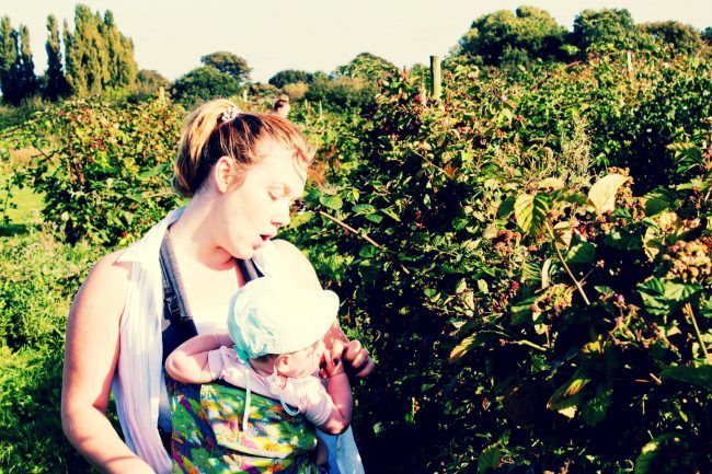 Sour Blackberries