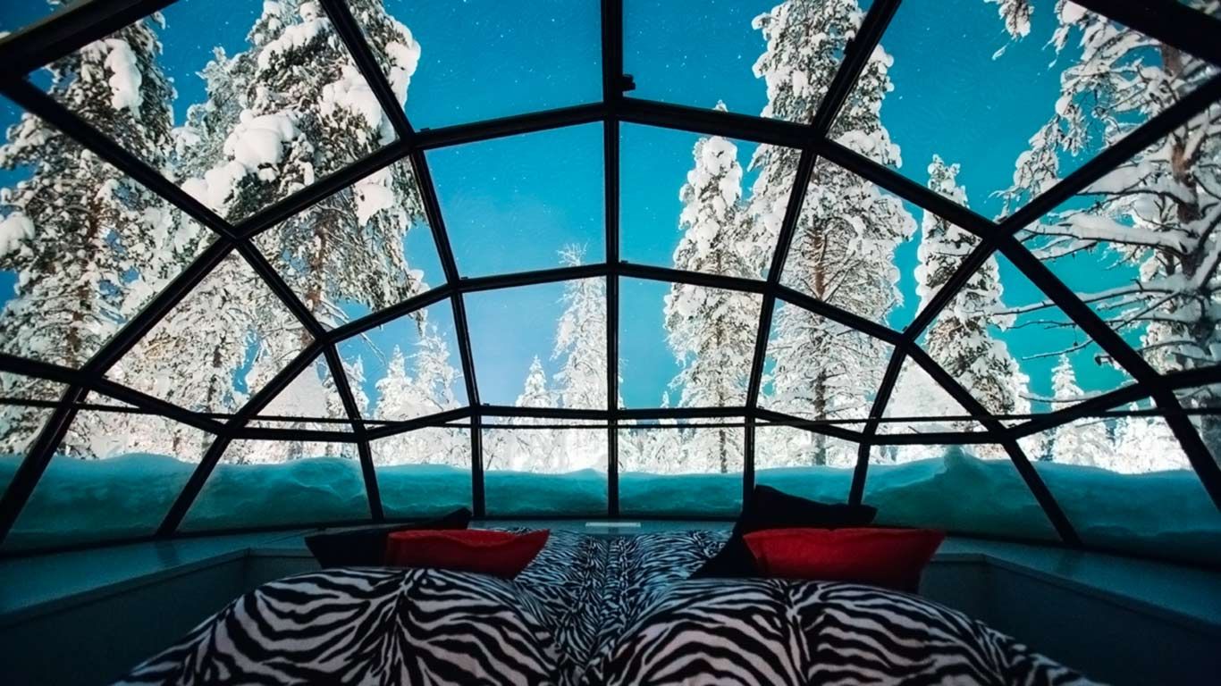 Magical Christmas Holidays