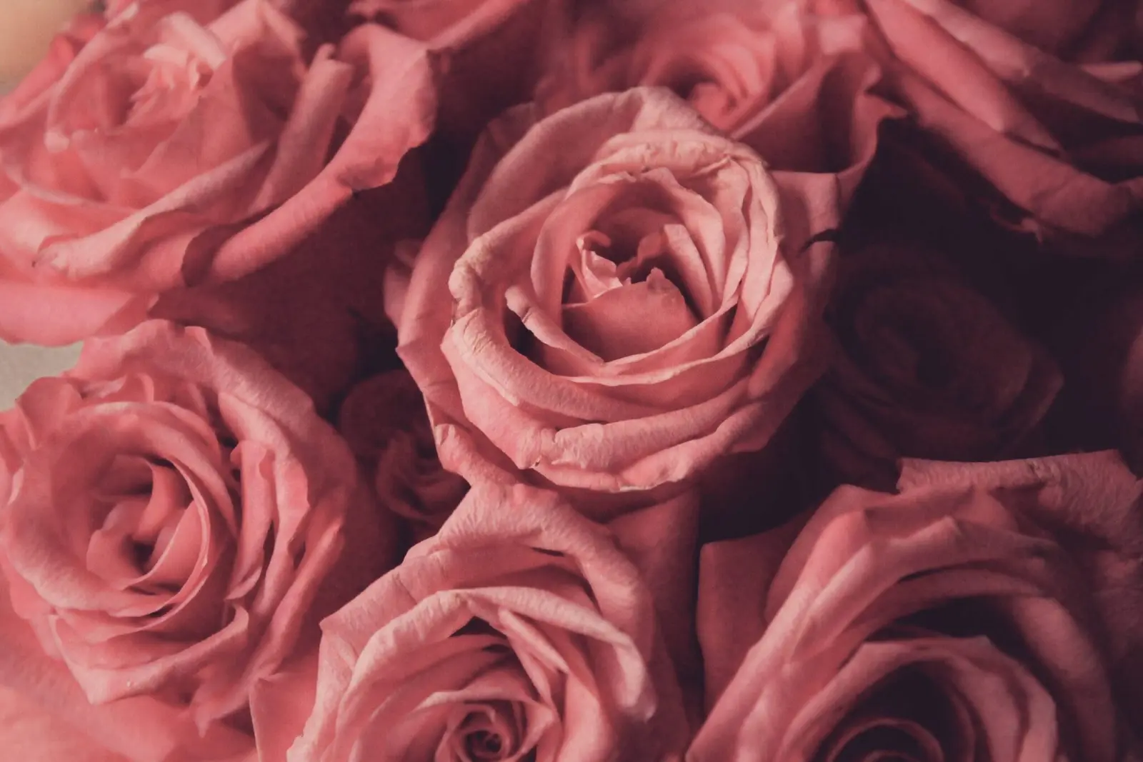 5 Unique Valentines Gifts