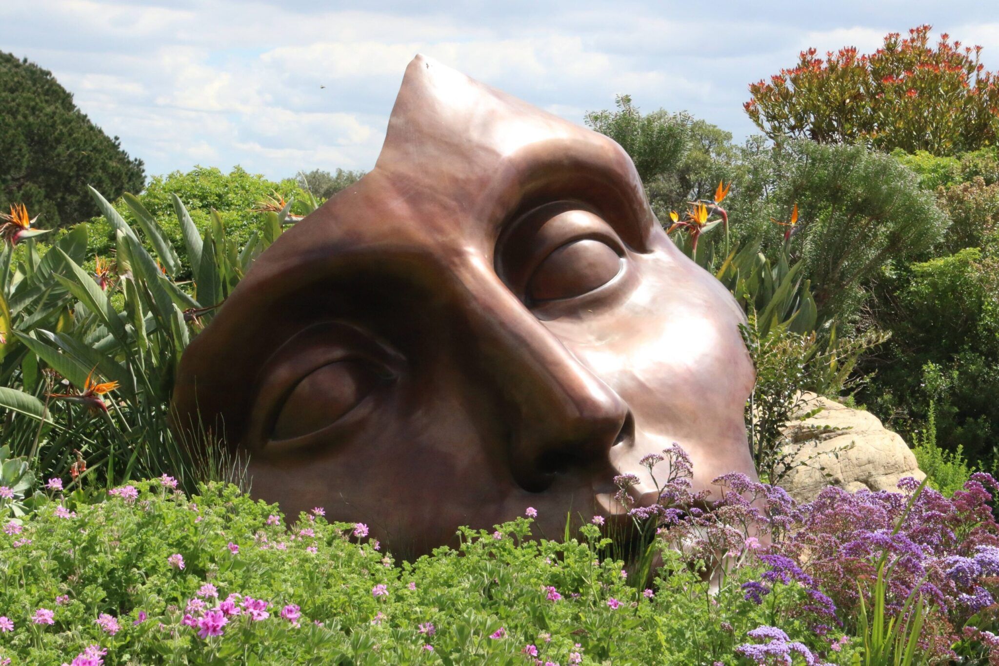 Fresh Content: Choosing a Career in Psychology: What Do You Need To Know?
