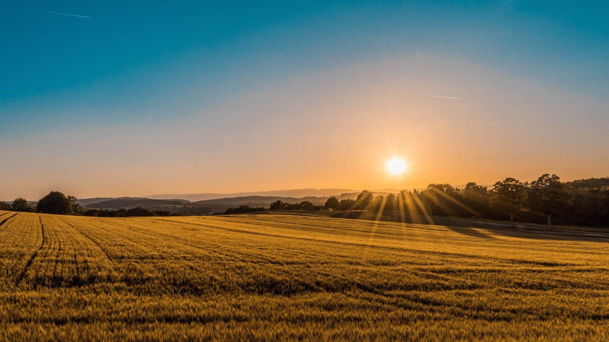 Advantages Of Moving To The Countryside