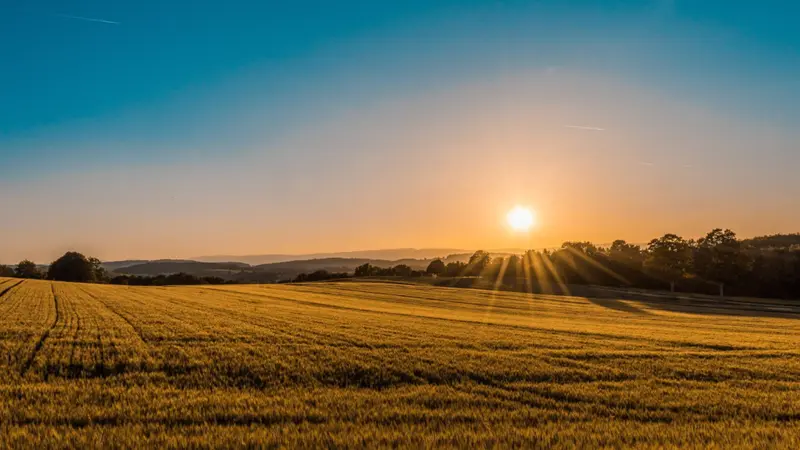 Advantages Of Moving To The Countryside