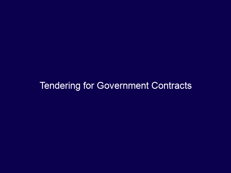 Tendering for Government Contracts