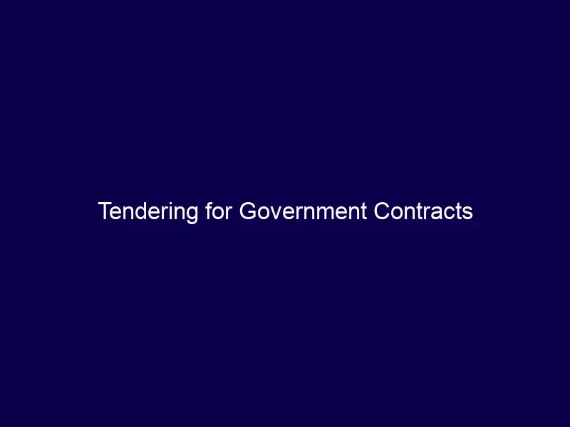 Tendering for Government Contracts